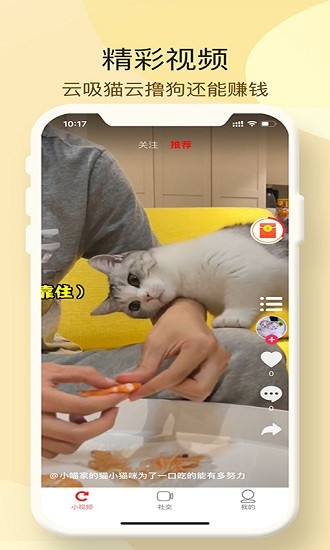 小萌猫 小萌猫app