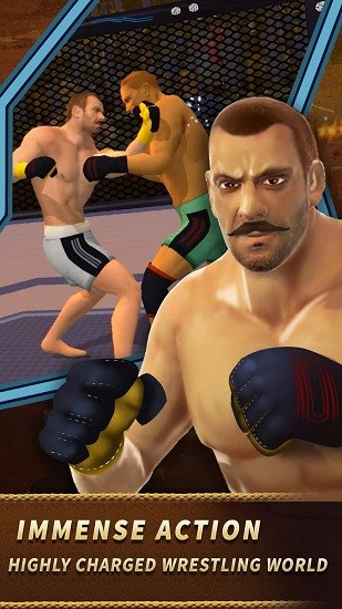 拳擊模擬3d游戲 v1.09 安卓版 0