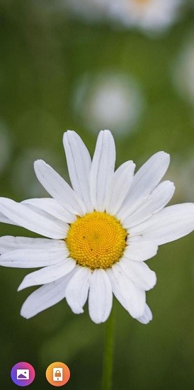 炫動(dòng)壁紙圖片大全 v1.0.0 安卓版 0