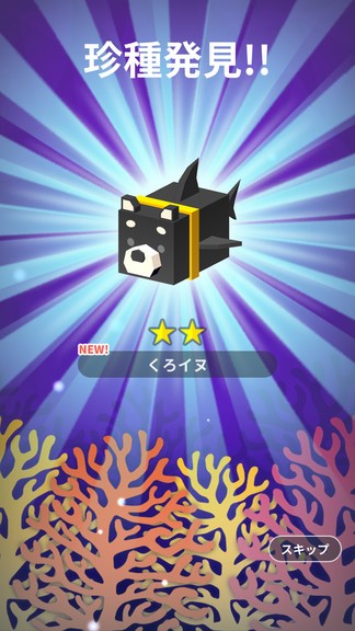 動物之海 v1.0.2 安卓版 1