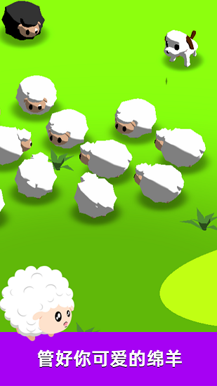 萌犬趕羊益智3D下載