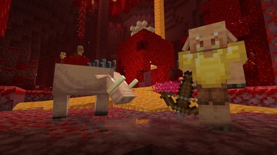 我的世界華夏版游戲 v1.17.20.22 安卓中文版 0