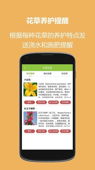 東籬花草官方版0