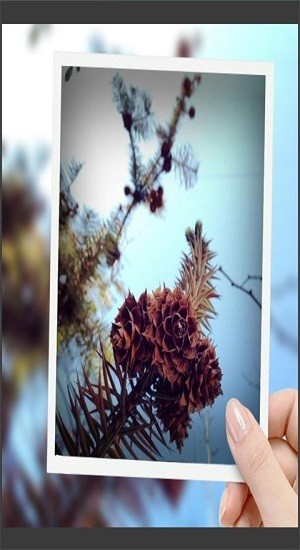 趣拍玩圖照相機 v8081.24.7.12 最新版 0