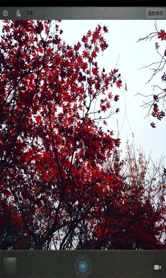 魔力玩图照相机 魔力玩图照相机安卓版