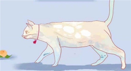 逃跑的貓游戲 v1.0 安卓版 0