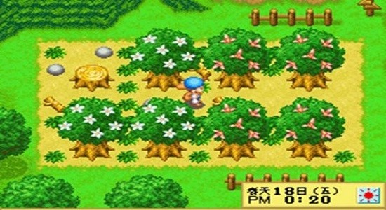 牧場物語精靈驛站游戲