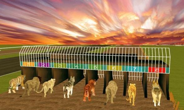 瘋狂叢林動物競速 瘋狂叢林動物競速游戲下載