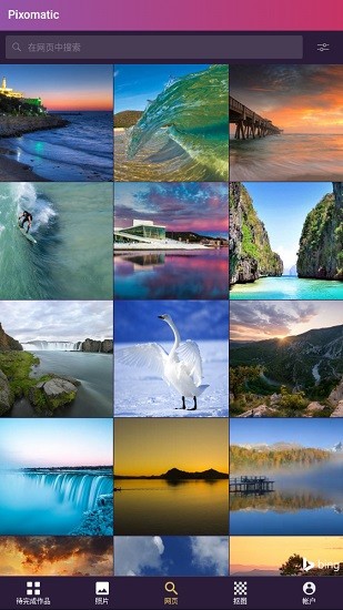 pixomatic專(zhuān)業(yè)版