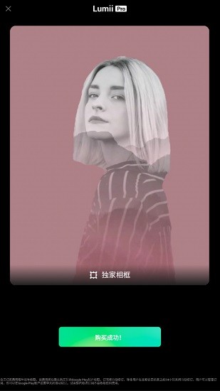 lumii pro v1.313.83 安卓版 1