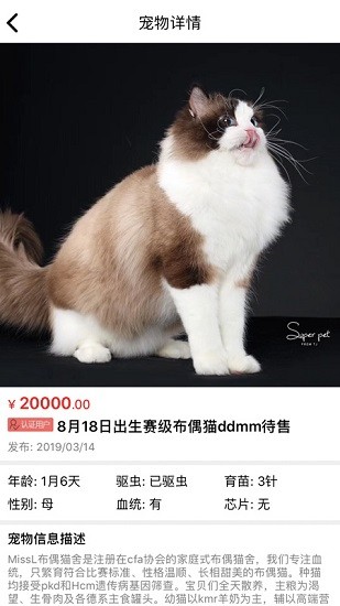 貓行狗市寵物交易市場(寵物市場) v4.1.3 安卓版 3