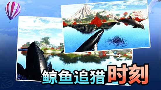 海洋動物世界中文版 v1.0.1 安卓版 1