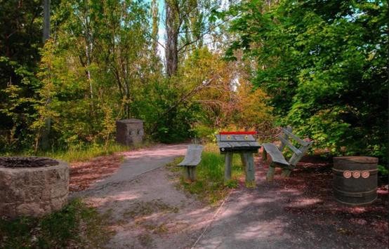 自然逃生手游下載