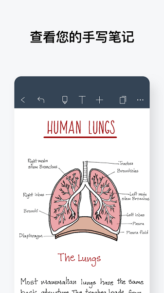 noteshelf蘋果手機(jī)版3