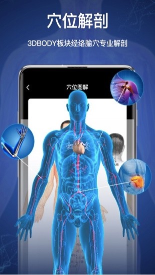 3d人體模型app下載