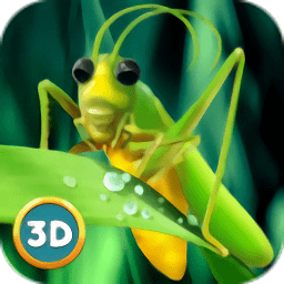 印度蝗蟲模擬器手機(jī)版(昆蟲蚱蜢模擬器)