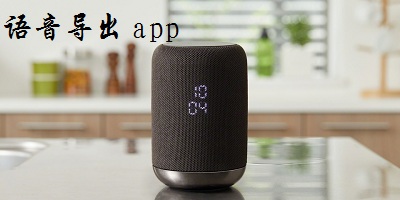 語音導(dǎo)出app