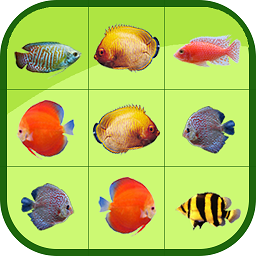 一起來抓魚最新版