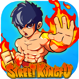 街頭功夫拳王(street kungfu)