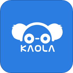 考拉陪駕官方版