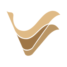 伙伴愿景官方版