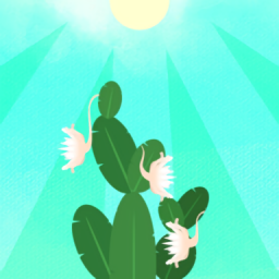 光合作用養(yǎng)花軟件