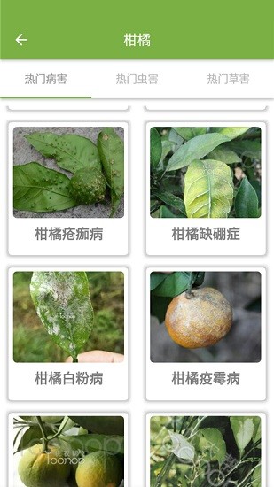 优农帮农户端 v2.0.8 安卓版1