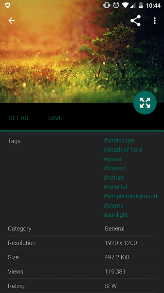 wallhaven手機(jī)壁紙 v1.6.0 安卓版 0