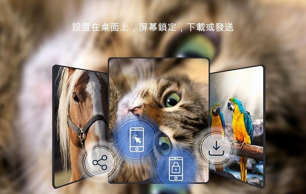 美麗的壁紙4k phone版 v1.0.22 安卓版 1