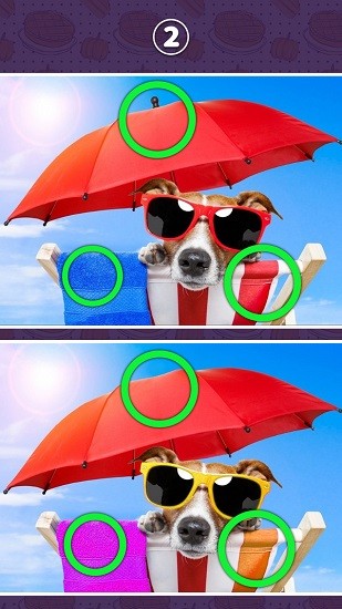 經(jīng)典找不同游戲 v1.0 安卓版 0