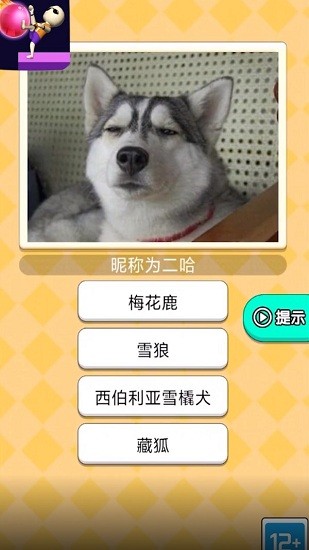 魔音球球小游戲 v1.0 安卓版 0