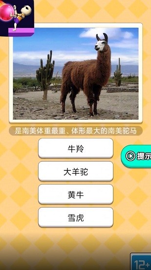 魔音球球小游戲 v1.0 安卓版 2