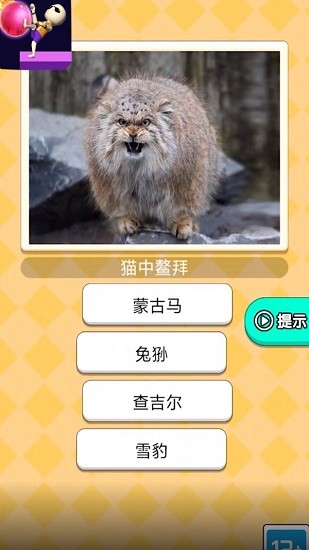 魔音球球小游戲