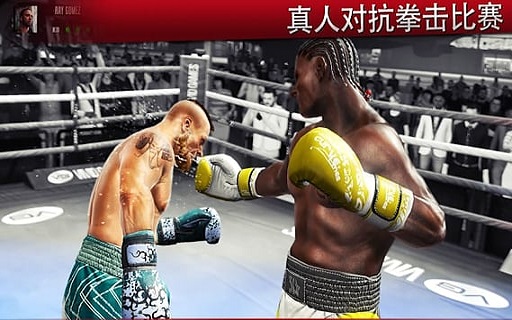真實(shí)拳擊2洛奇免費(fèi)版(Real Boxing 2) v1.13.6 安卓版 0