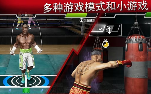 真實(shí)拳擊2洛奇免費(fèi)版(Real Boxing 2) v1.13.6 安卓版 2
