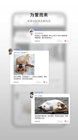 小它寵物社交 v1.2.4 安卓版 1