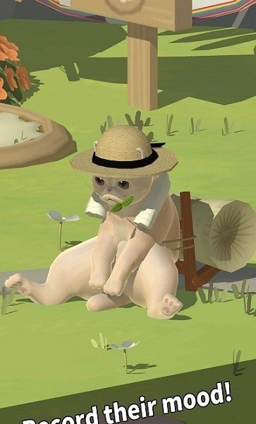 喵星人度假村手游 v1.29.4 安卓版 2