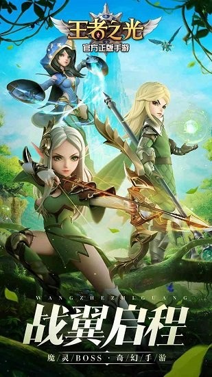 王者之光折扣版 v1.17 安卓版 3