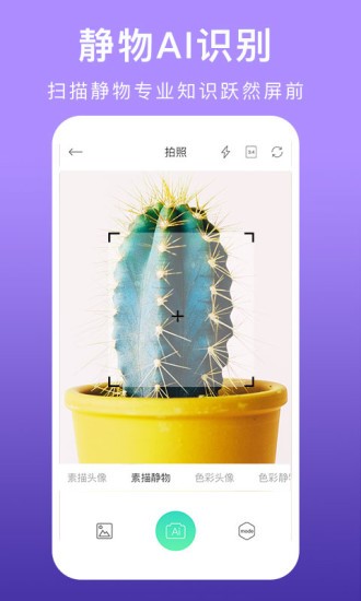 美术拍 美术拍安卓版