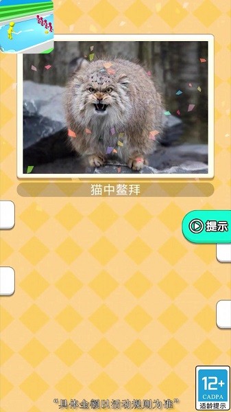 洗牙小能手手游下載