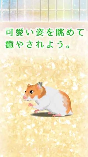 治愈的倉(cāng)鼠養(yǎng)成游戲下載 治愈的倉(cāng)鼠養(yǎng)成手游下載