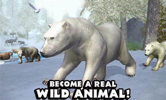 模擬北極熊 模擬北極熊游戲下載