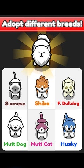 寵物豢養(yǎng)最新版0