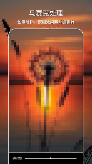 moldiv照片編輯拼圖軟件下載