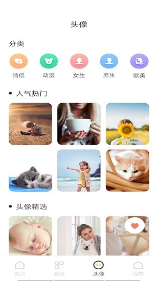 intolive實況壁紙制作器 v1.1 安卓版 0
