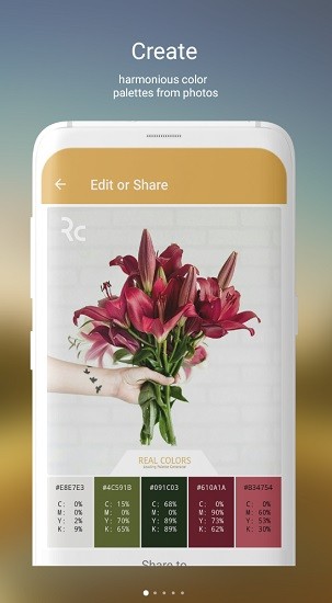 real colors真實色彩 v2.0.2 安卓版 0