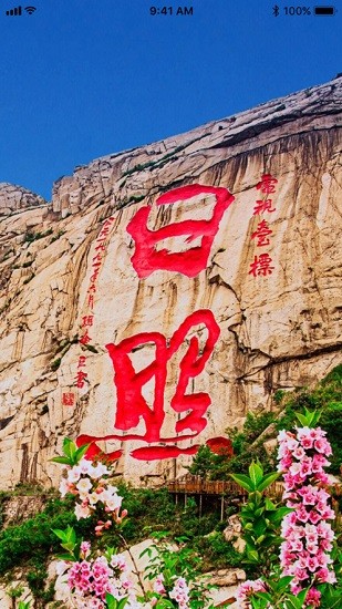 日照市場監(jiān)管 v6.80.45 安卓版 0