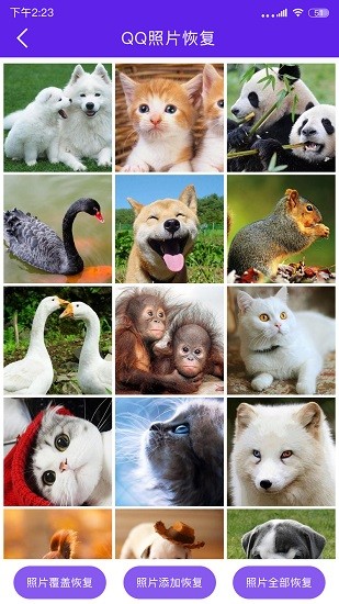 手機數(shù)據(jù)恢復管家app下載