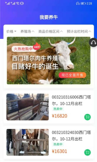 我在吉林有頭牛 我在吉林有頭牛手機(jī)版