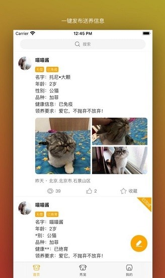 真命天喵最新版 v1.0 安卓版 0